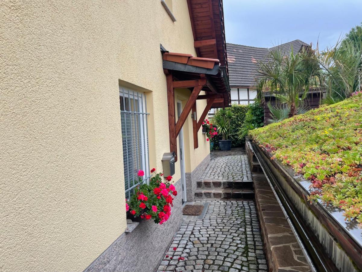 Ferienwohnung Muhlberg Seifersdorf  Buitenkant foto